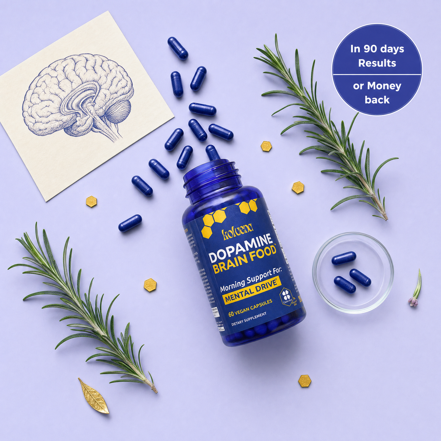Kolvena | Dopamine Brain Food